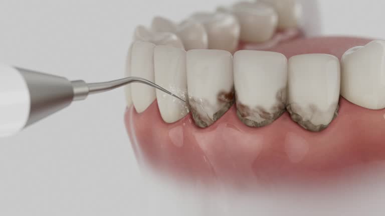 Reliable Dental contractor in Franklin County County, ID by Dentist Open Now